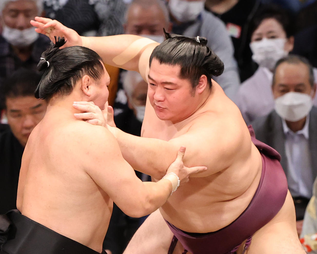 大相撲九州場所9日目　照強を責める遠藤（右）（撮影・梅根麻紀）