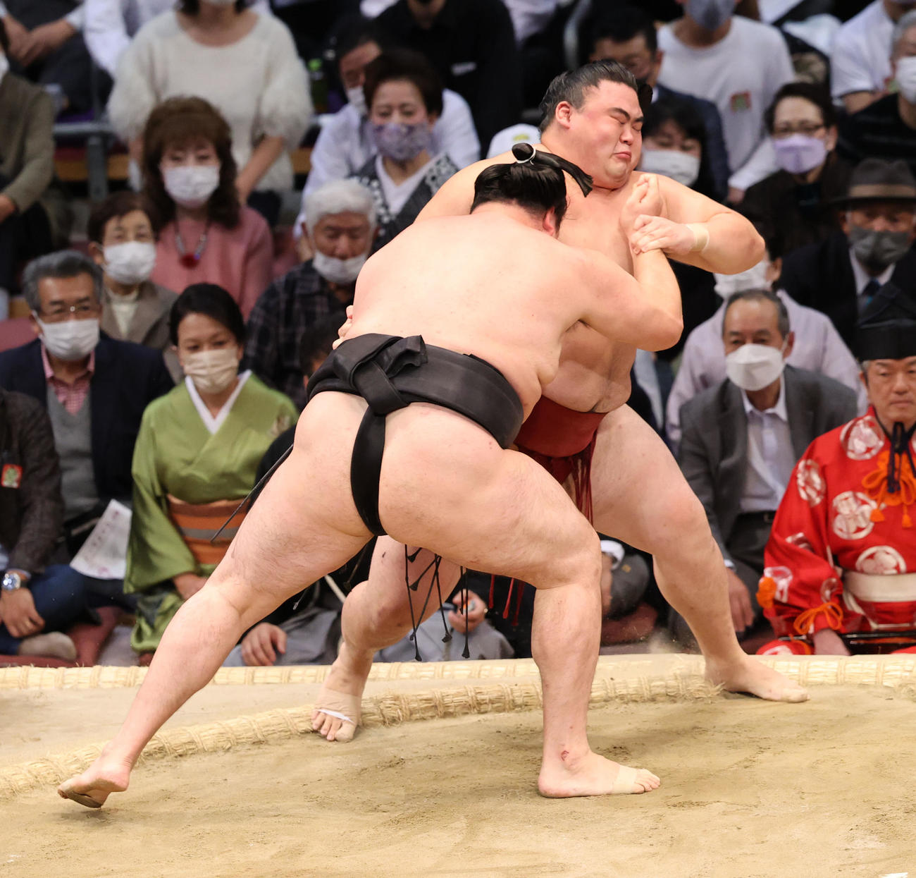 大相撲九州場所9日目　押し出しで隆の勝を破る竜電（手前）（撮影・梅根麻紀）