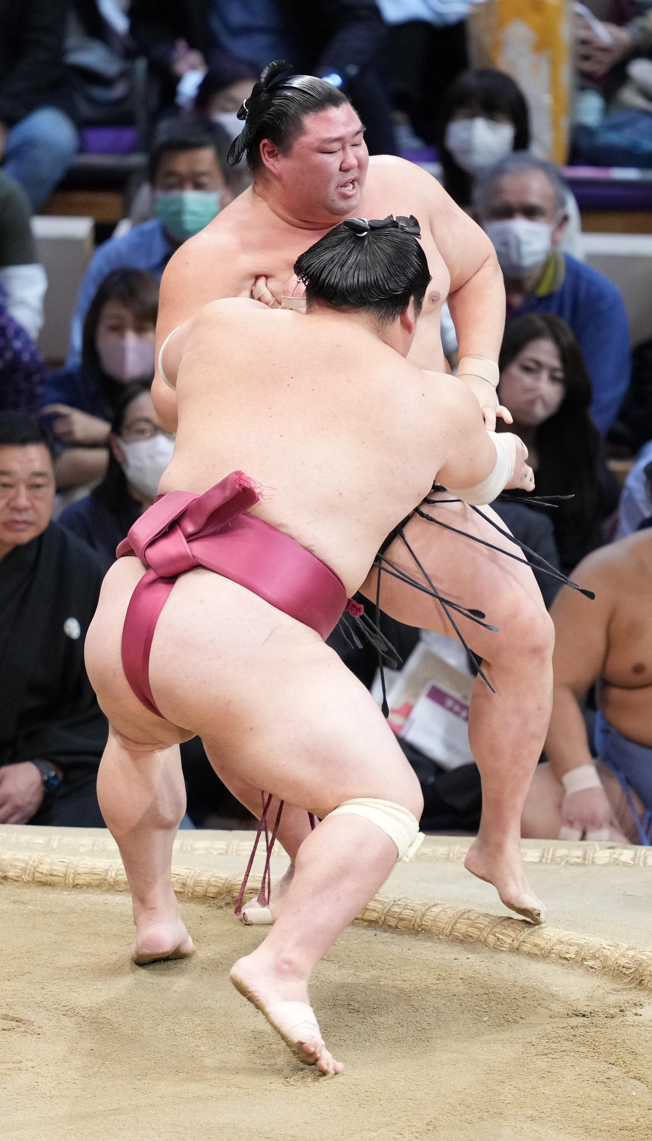 大栄翔（左）は正代を押し出しで破る（撮影・小沢裕）