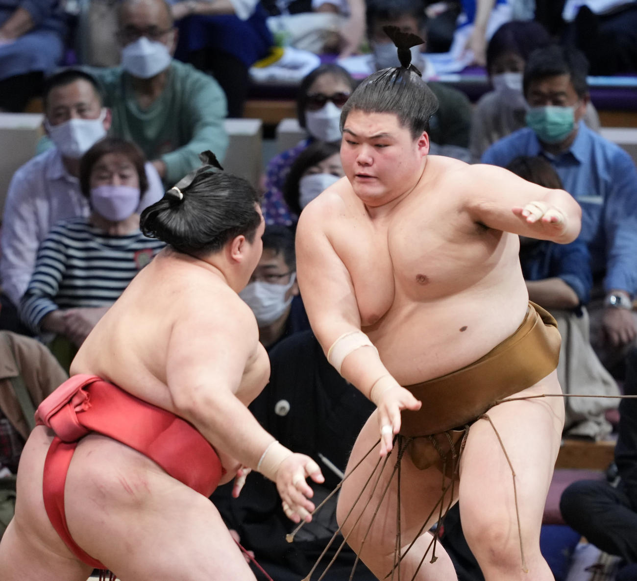 阿武咲（左）の攻めをこらえる王鵬（撮影・小沢裕）