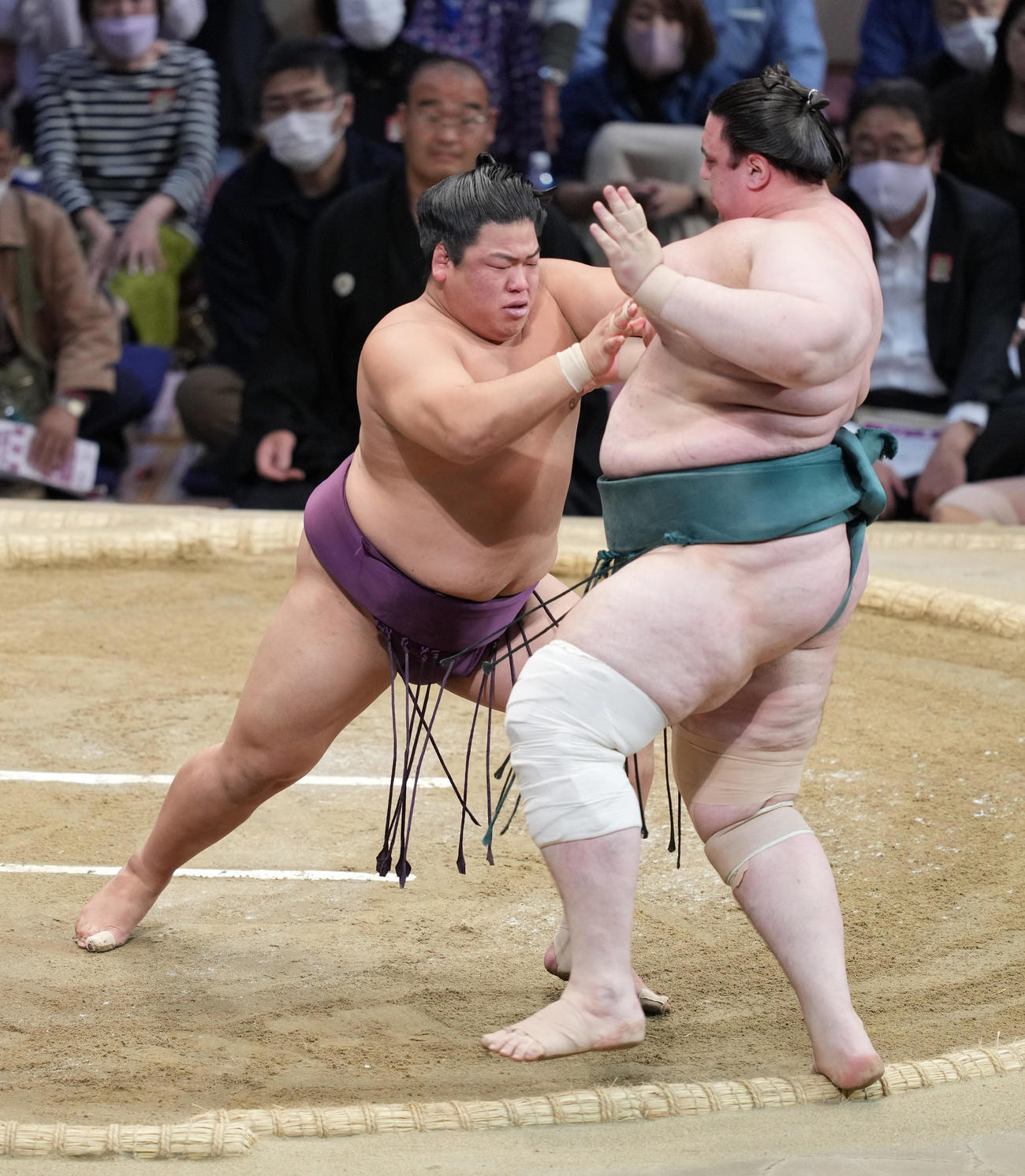 碧山（右）を押し出しで破る平戸海（撮影・小沢裕）
