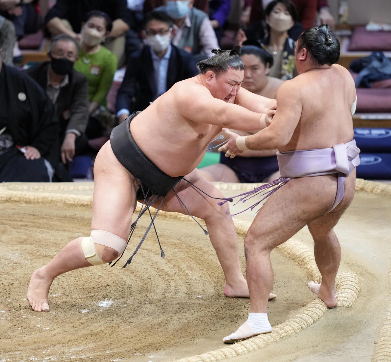 東龍（左）は琴恵光を押し出しで破る（撮影・小沢裕）