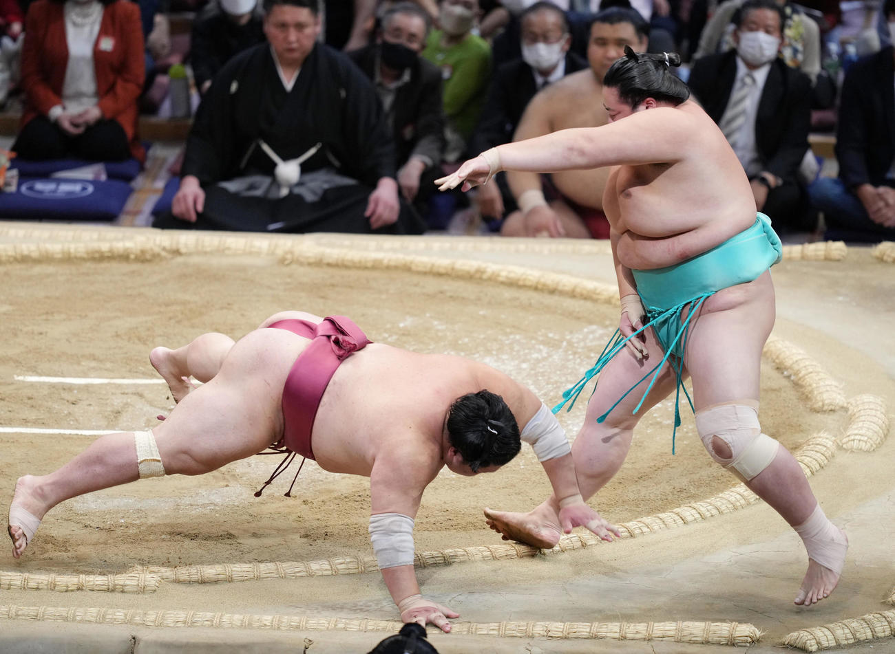 琴ノ若（右）は突き落としで大栄翔を破る（撮影・小沢裕）