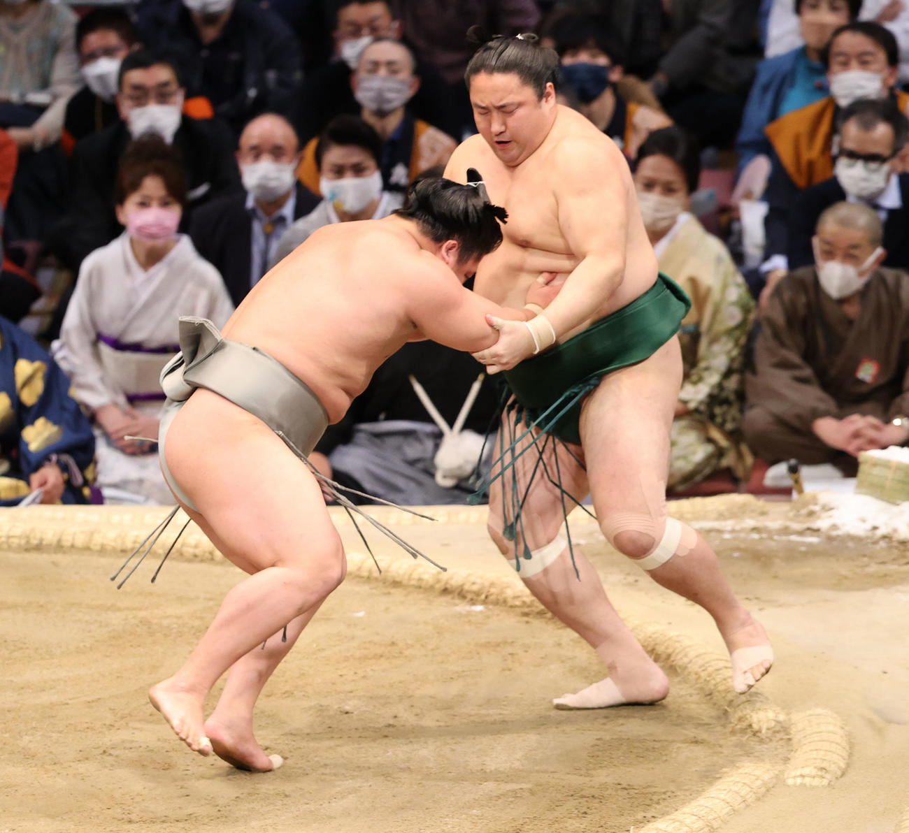 大相撲九州場所10日目　押し出しで佐田の海を破る若隆景（左）（撮影・梅根麻紀）
