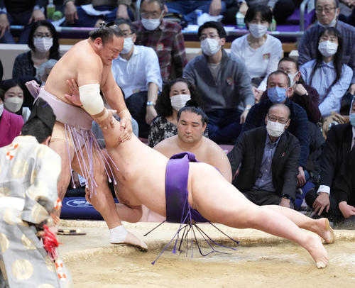 琴恵光（左）は明生をはたき込みで破る（撮影・小沢裕）