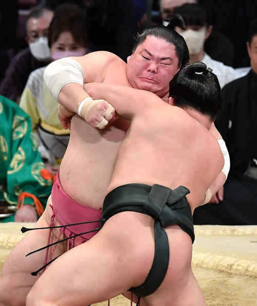 翠富士（右）を攻める大栄翔（撮影・岩下翔太）