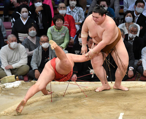 王鵬（右）は豊昇龍をはたき込みで破る（撮影・岩下翔太）