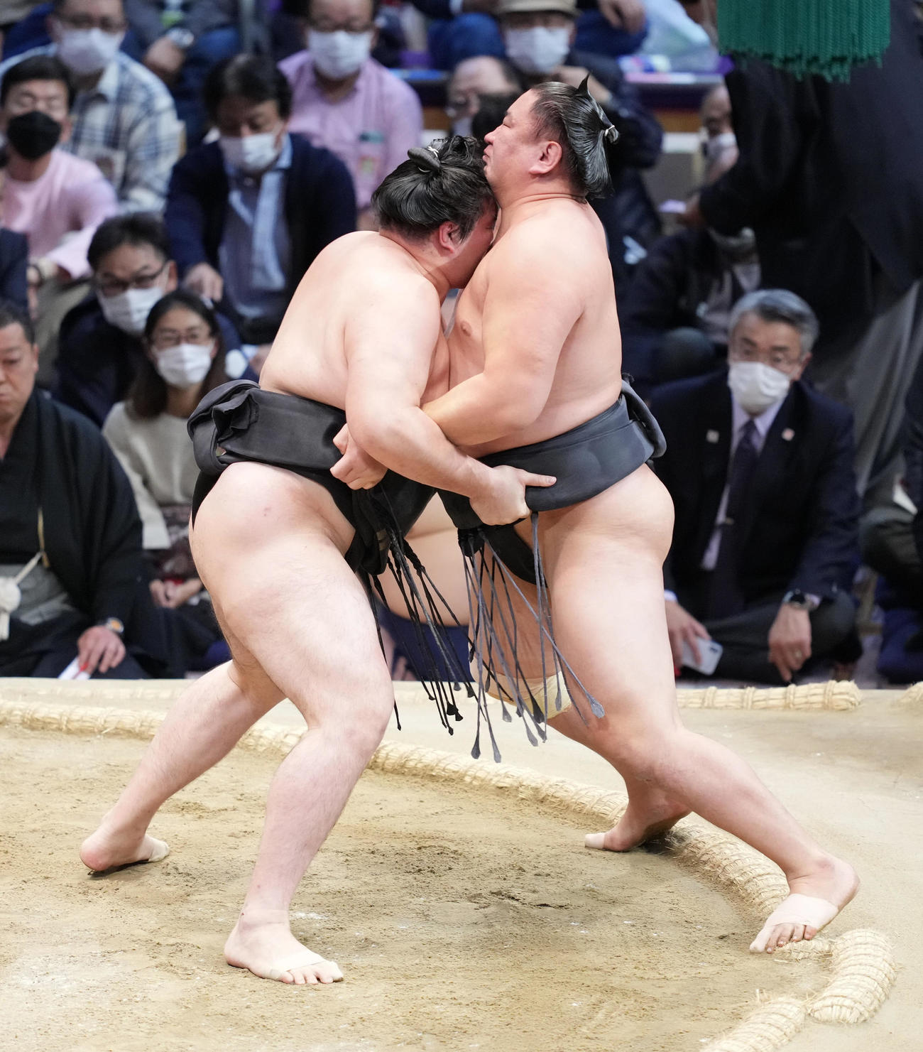 東龍（右）を土俵際へ攻め込む竜電（撮影・小沢裕）