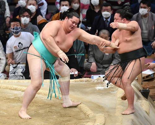 琴ノ若（左）は翠富士を押し出しで破る（撮影・岩下翔太）