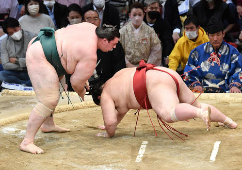 碧山（左）は熱海富士をはたき込みで破る（撮影・岩下翔太）