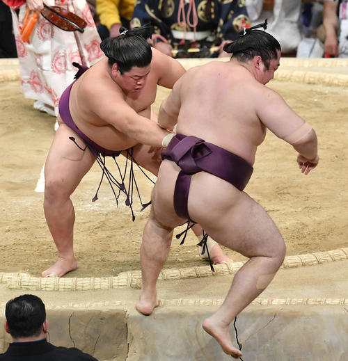 平戸海（左）は遠藤を寄り切りで破る（撮影・岩下翔太）