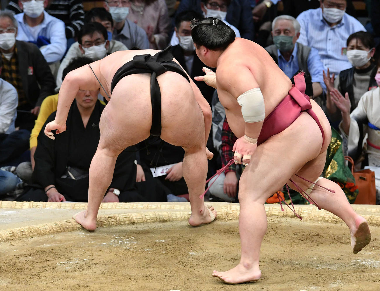 土俵際でこらえる竜電、右は大栄翔（撮影・岩下翔太）