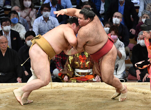 高安（右）は輝をはたき込みで破る（撮影・岩下翔太）