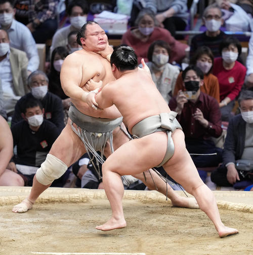 若隆景（右）は北勝富士を押し出しで破る（撮影・小沢裕）