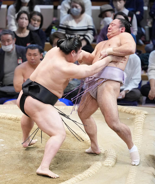 若元春（左）は琴恵光を押し出しで破る（撮影・小沢裕）