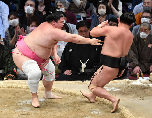 宇良（左）は照強を押し倒しで破る（撮影・岩下翔太）