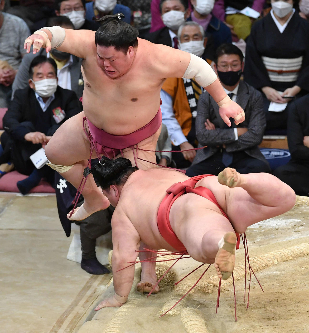 大栄翔（左）は阿武咲をはたき込みで破る（撮影・岩下翔太）