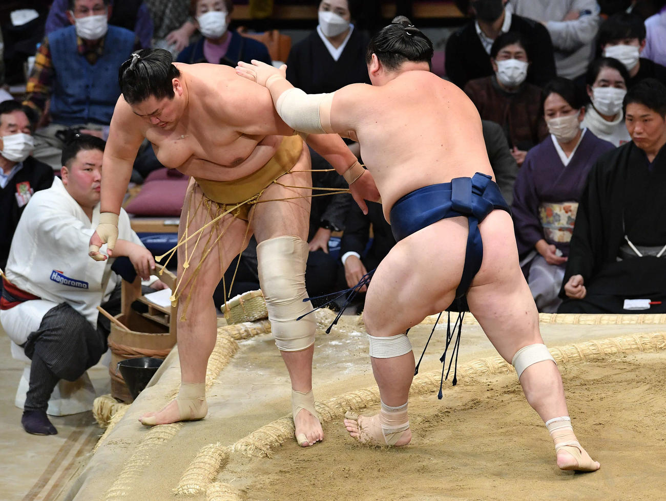 送り出しで宝富士（右）に敗れた輝（撮影・岩下翔太）