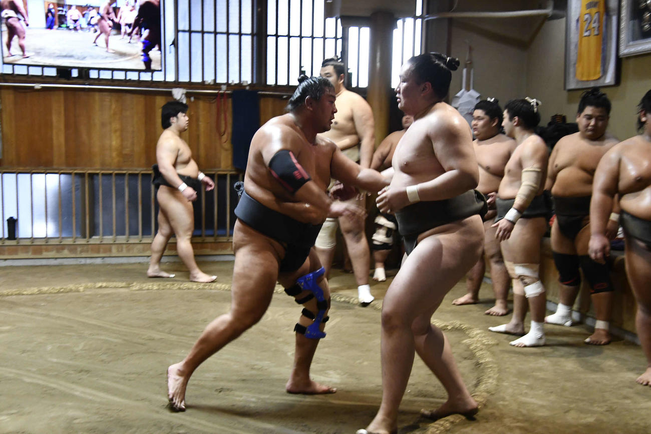 千鵬と相撲を取る旭大星（左）（撮影・平山連）