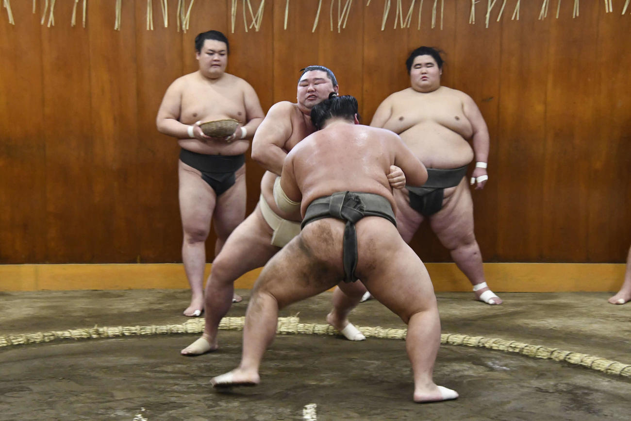 幕下の吉井の攻めを受ける正代（撮影・平山連）