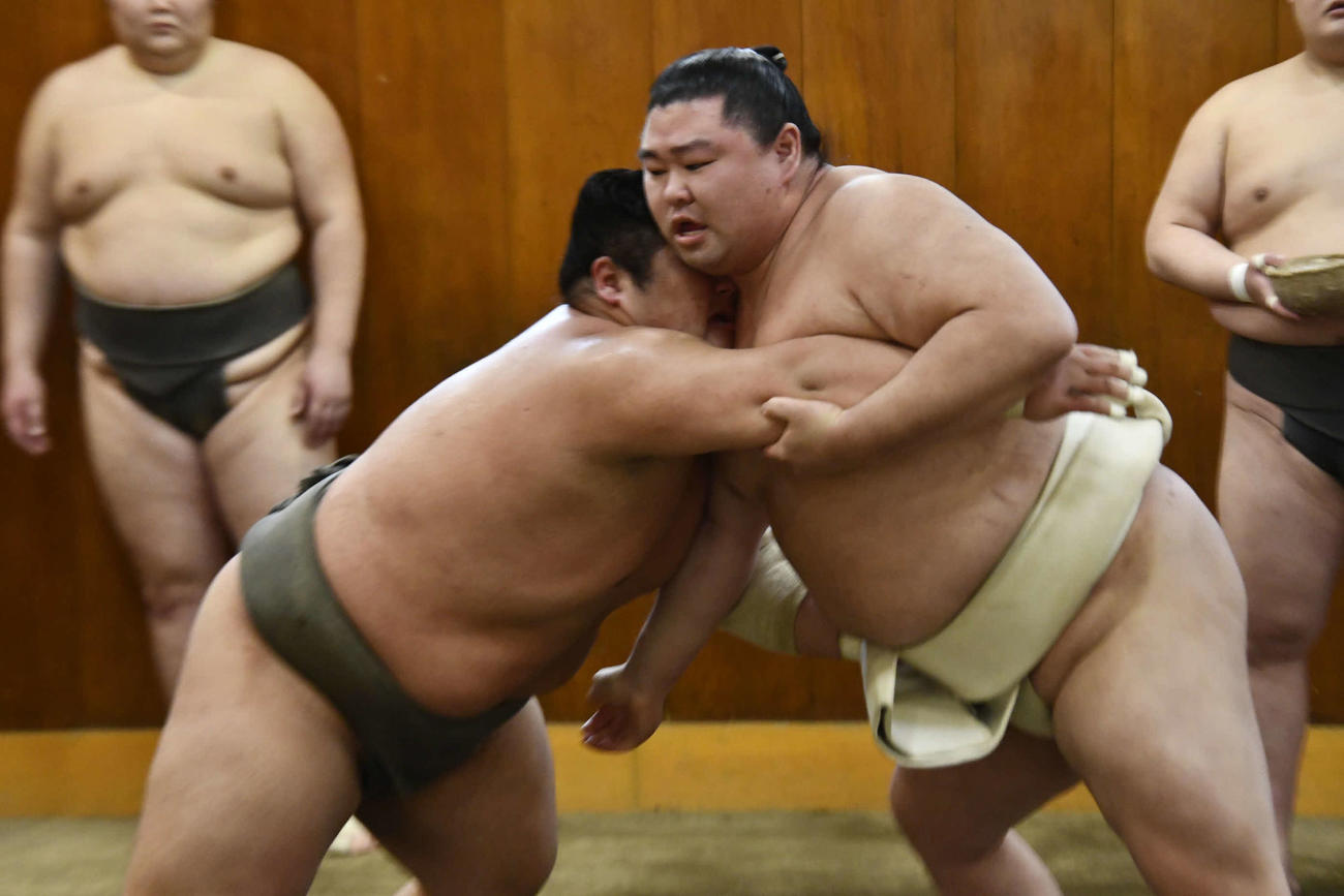 幕下の吉井と相撲を取る正代（撮影・平山連）