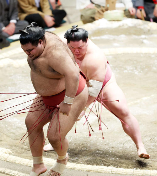 高安(左)を押し出しで破る大栄翔(撮影・鈴木正人)