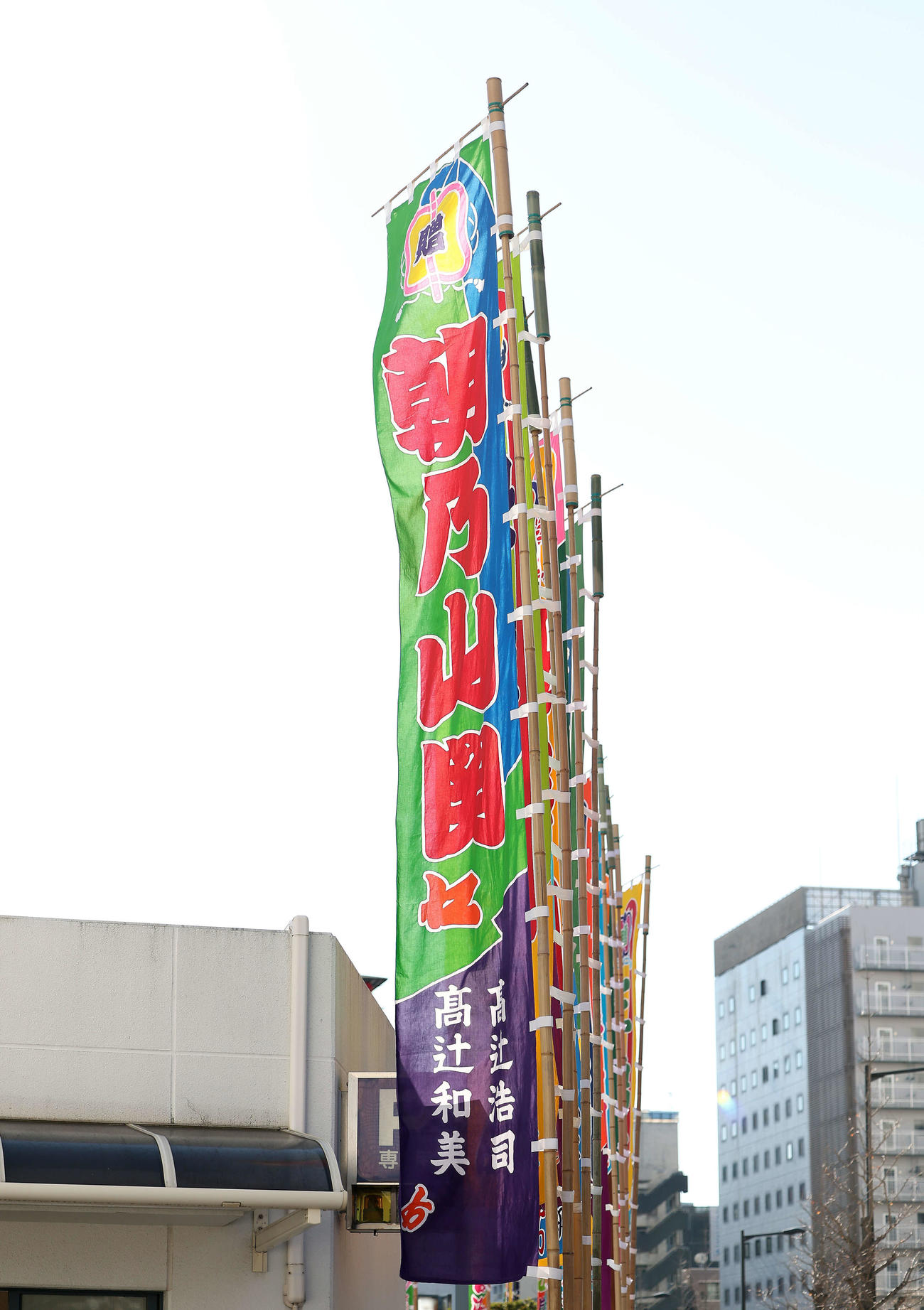 朝乃山ののぼり（撮影・河田真司）
