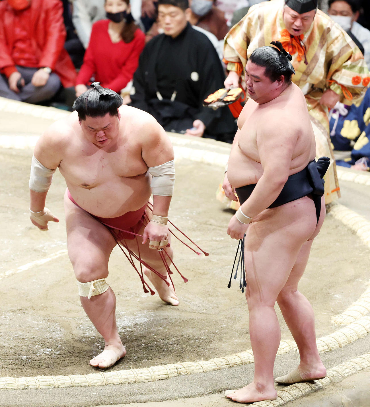 大栄翔（左）に突き出しで敗れた正代（撮影・鈴木正人）