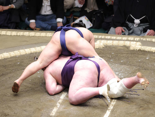栃ノ心(下)を上手投げで破る平戸海(撮影・河田真司)