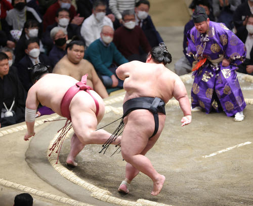 大栄翔（左）を突き落としで破る貴景勝（撮影・河田真司）
