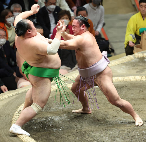 千代丸（左）を突き出しで破る琴恵光（撮影・中島郁夫）