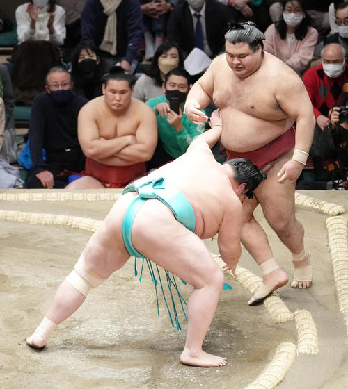 琴ノ若（左）は高安を押し出しで破る（撮影・小沢裕）