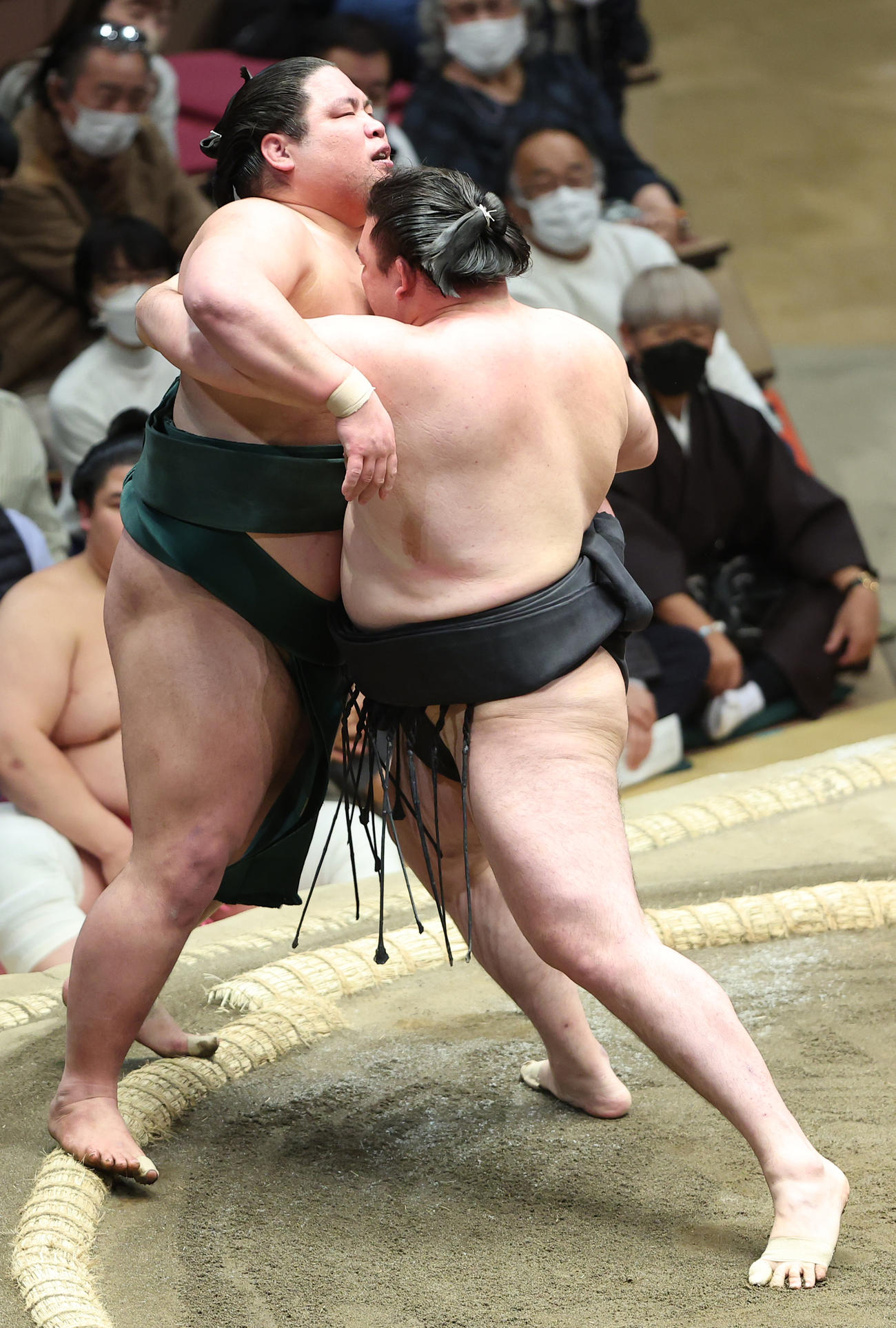 錦木（左）を寄り切りで破る竜電（撮影・中島郁夫）