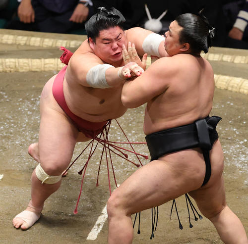 霧馬山(右)を押し出しで破る大栄翔(撮影・野上伸悟)