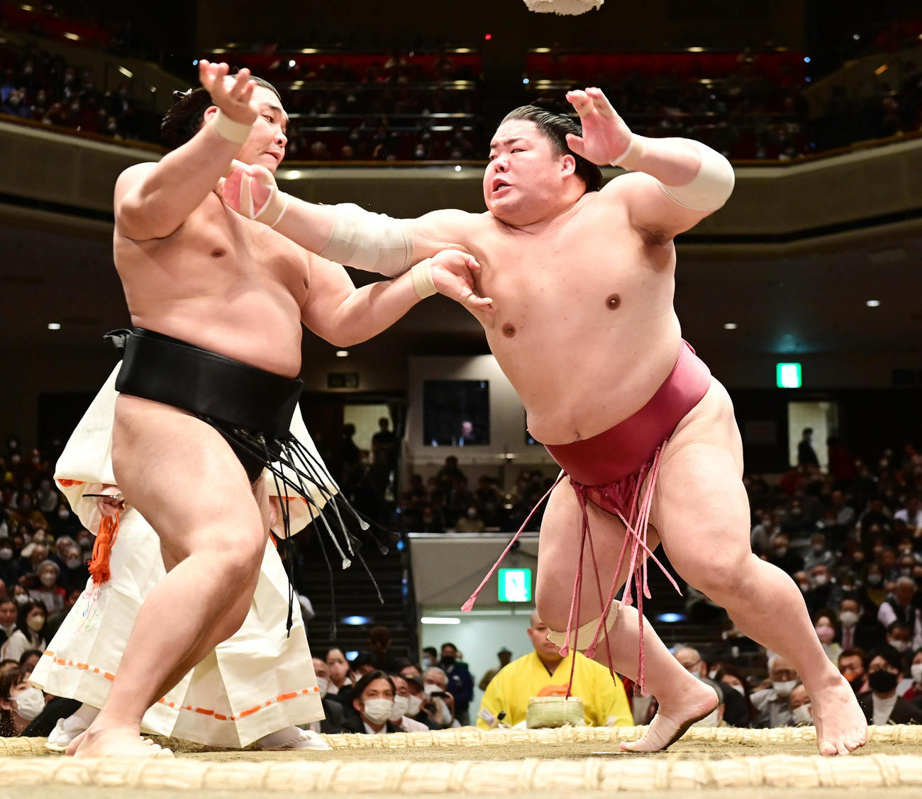 霧馬山（左）を突き押しで攻める大栄翔（撮影・小沢裕）
