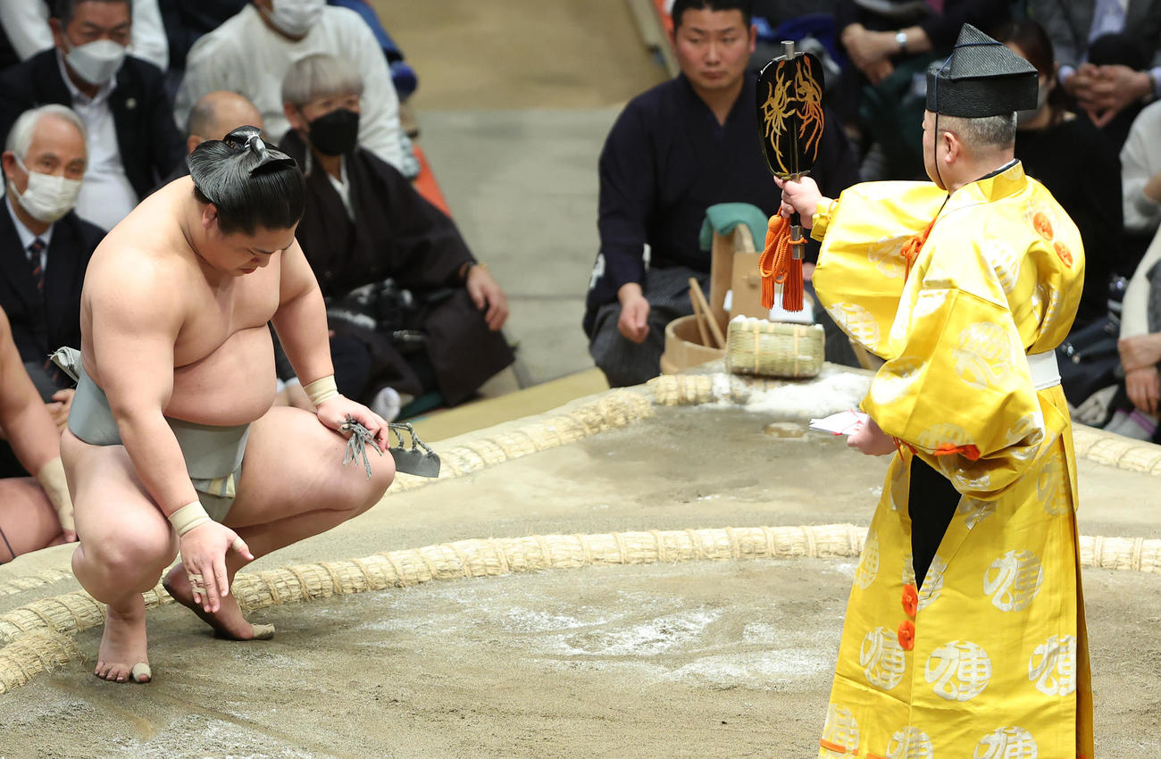勝ち名乗りを受ける若隆景（撮影・中島郁夫）