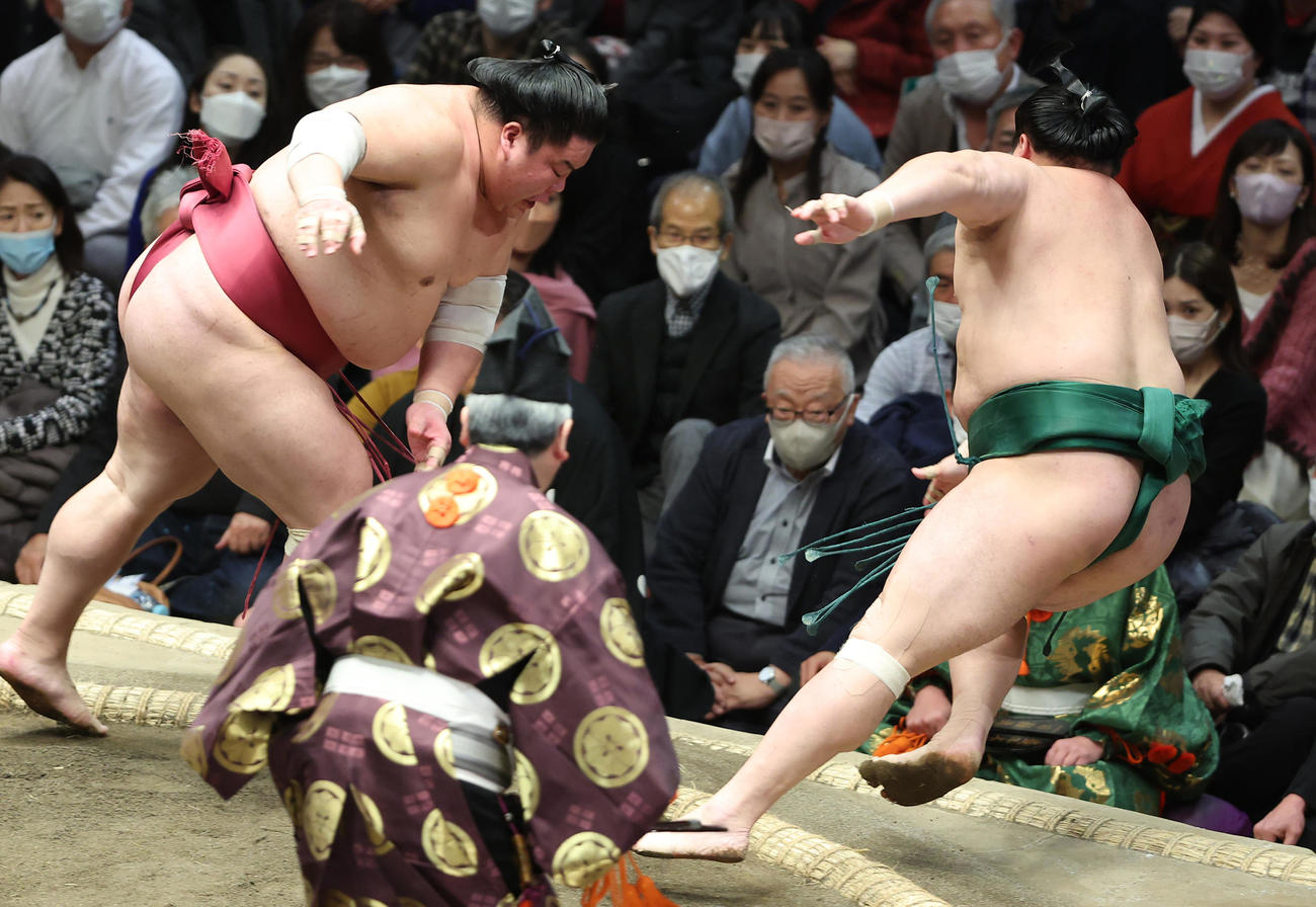 佐田の海（右）を押し倒しで破る大栄翔（撮影・中島郁夫）