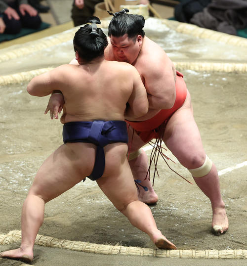 平戸海（左）を寄り切りで破る阿武咲（撮影・中島郁夫）