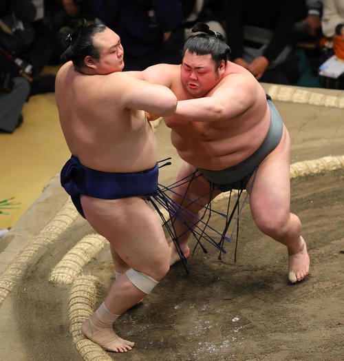 宝富士（手前）を押し倒しで破る武将山（撮影・野上伸悟）