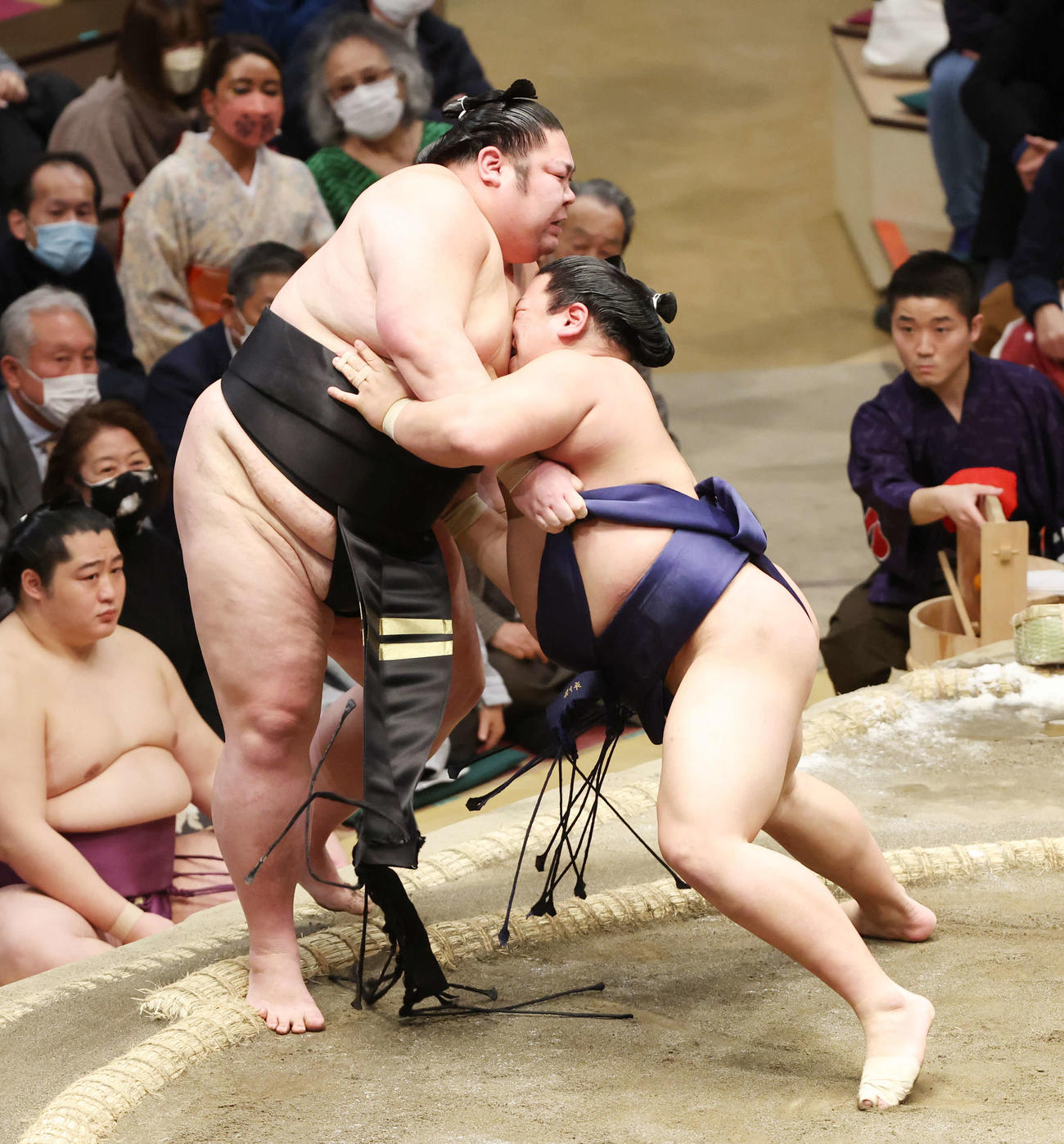 平戸海（右）は寄り切りで剣翔を破る（撮影・宮地輝）