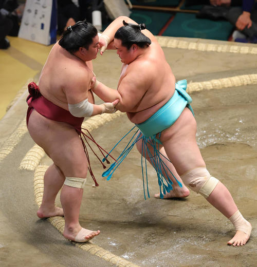 大栄翔（左）を押し出しで破る琴ノ若（撮影・野上伸悟）