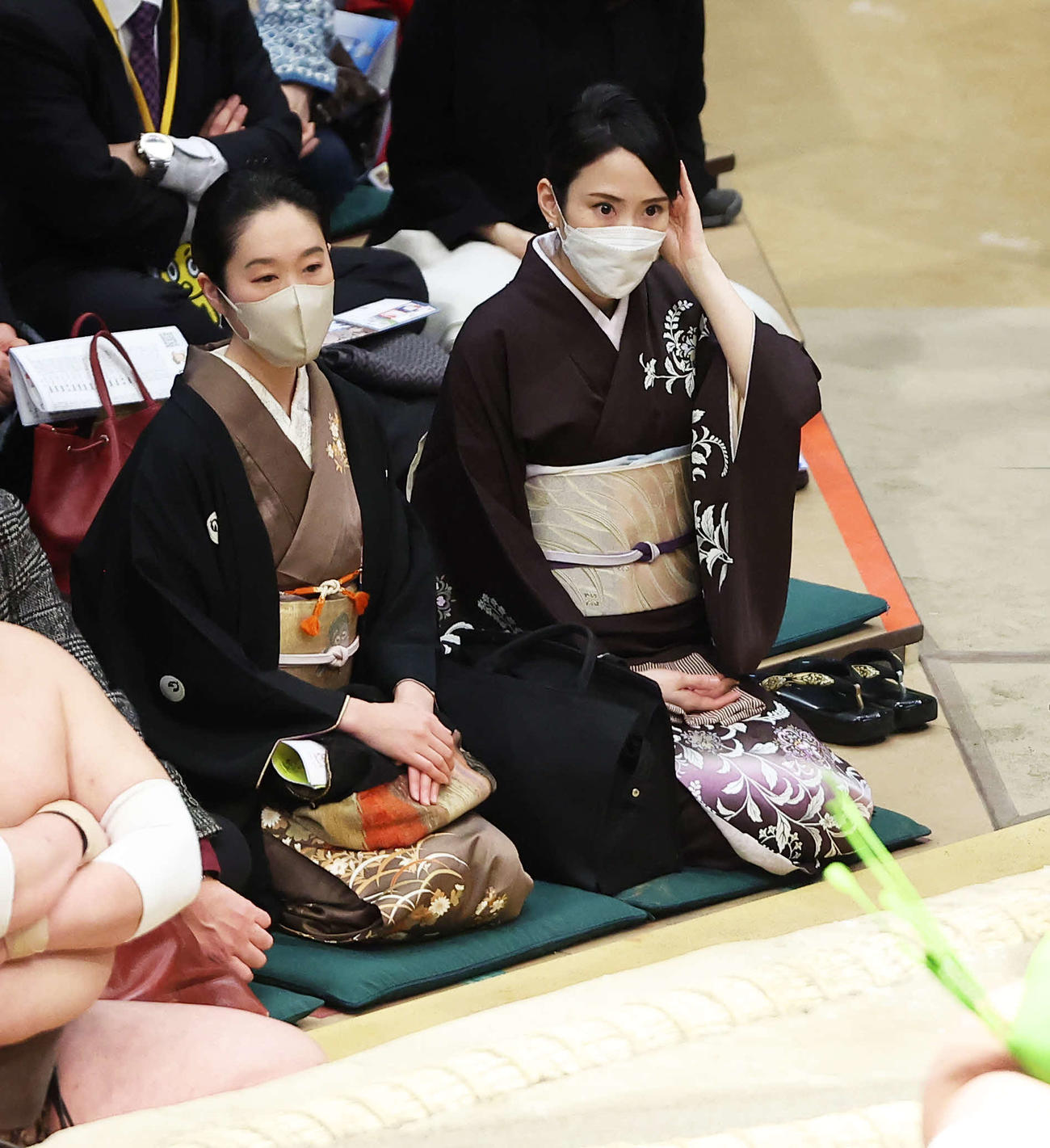 十両取組を観戦する講談師の田辺銀冶（左）と一龍斎貞鏡（撮影・河田真司）