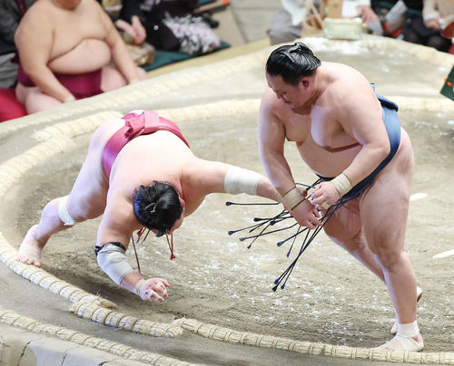 大栄翔（左）を突き落としで破る玉鷲（撮影・河田真司）