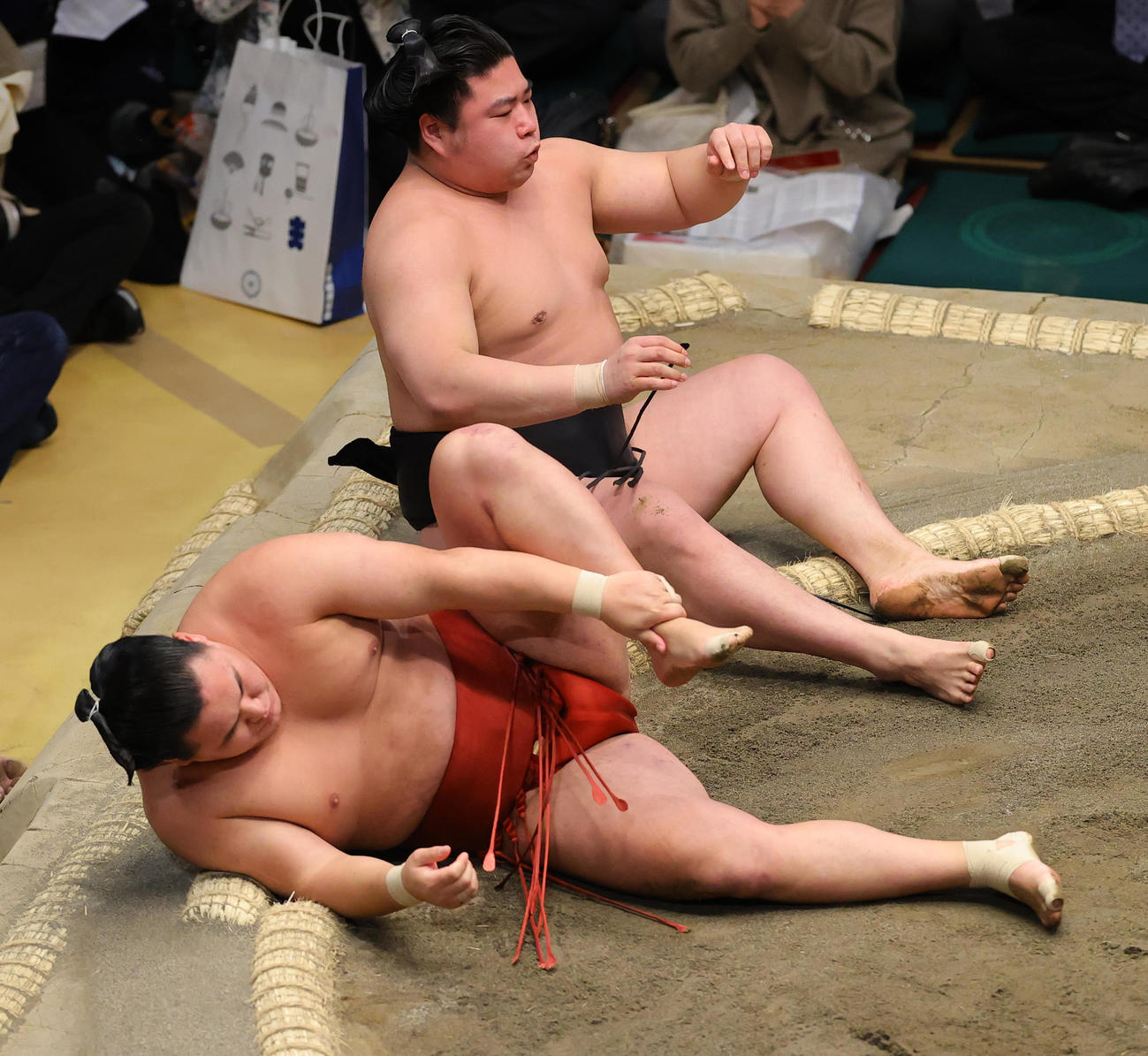 23年1月16日　若元春（奥）にすくい投げで敗れた豊昇龍は、左足首を押さえてうずくまる（撮影・野上伸悟）