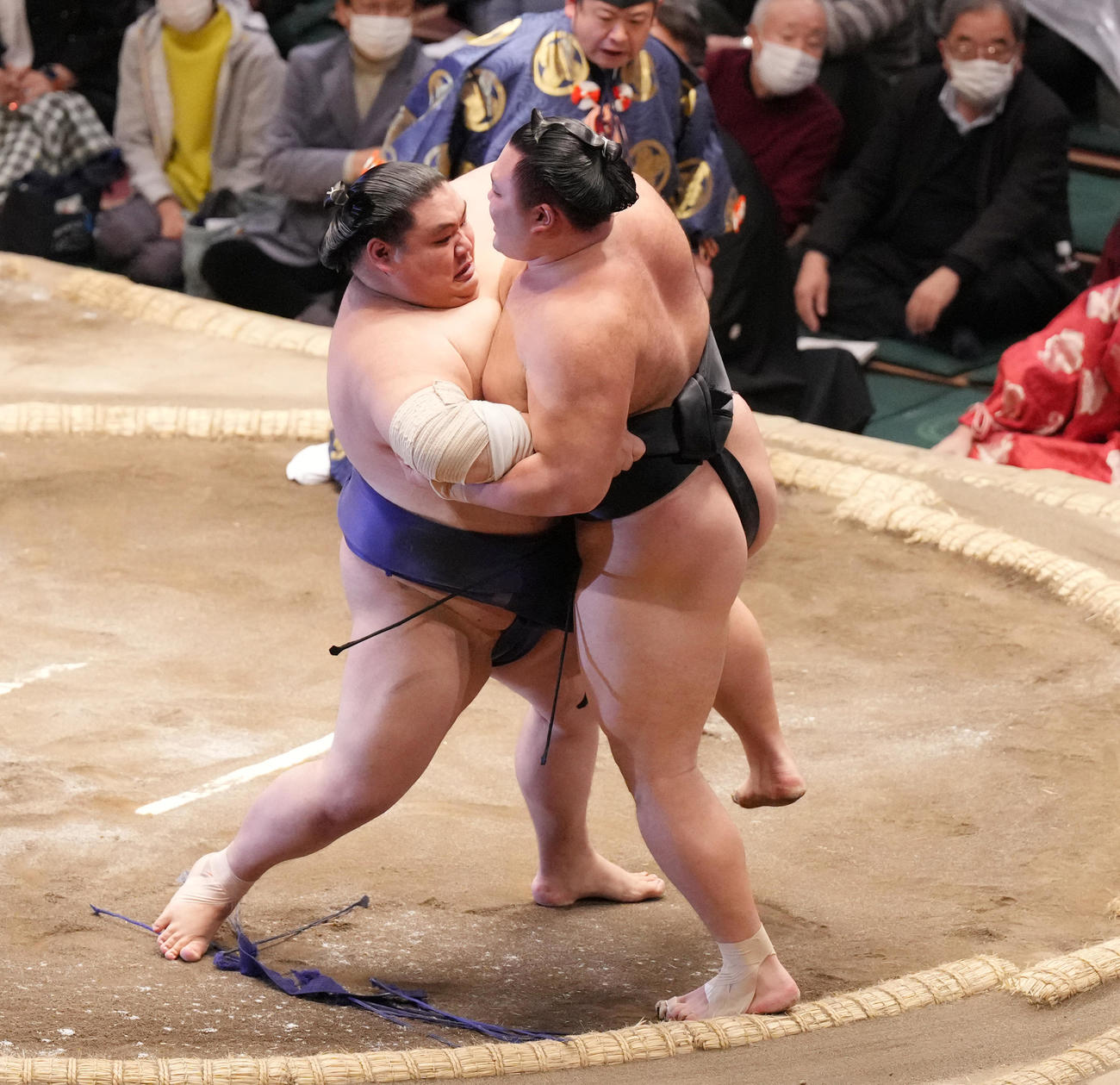 大翔鵬（左）に寄り切りで敗れる朝乃山（撮影・菅敏）