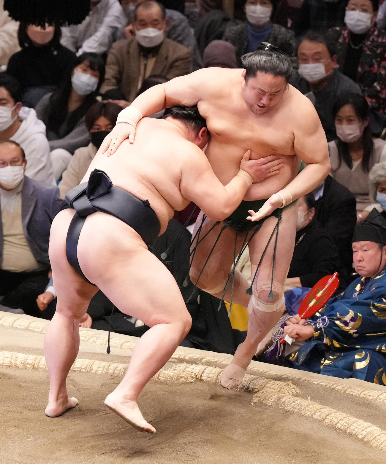 佐田の海（右）を押し出しで破る正代（撮影・菅敏）