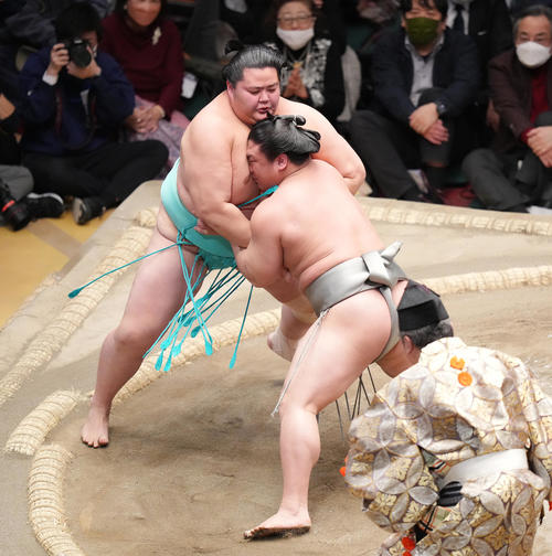 琴ノ若（左）を攻める若隆景（撮影・菅敏）