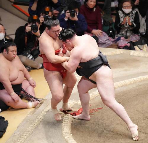 豊昇龍（左）を寄り切りで破る竜電（撮影・菅敏）