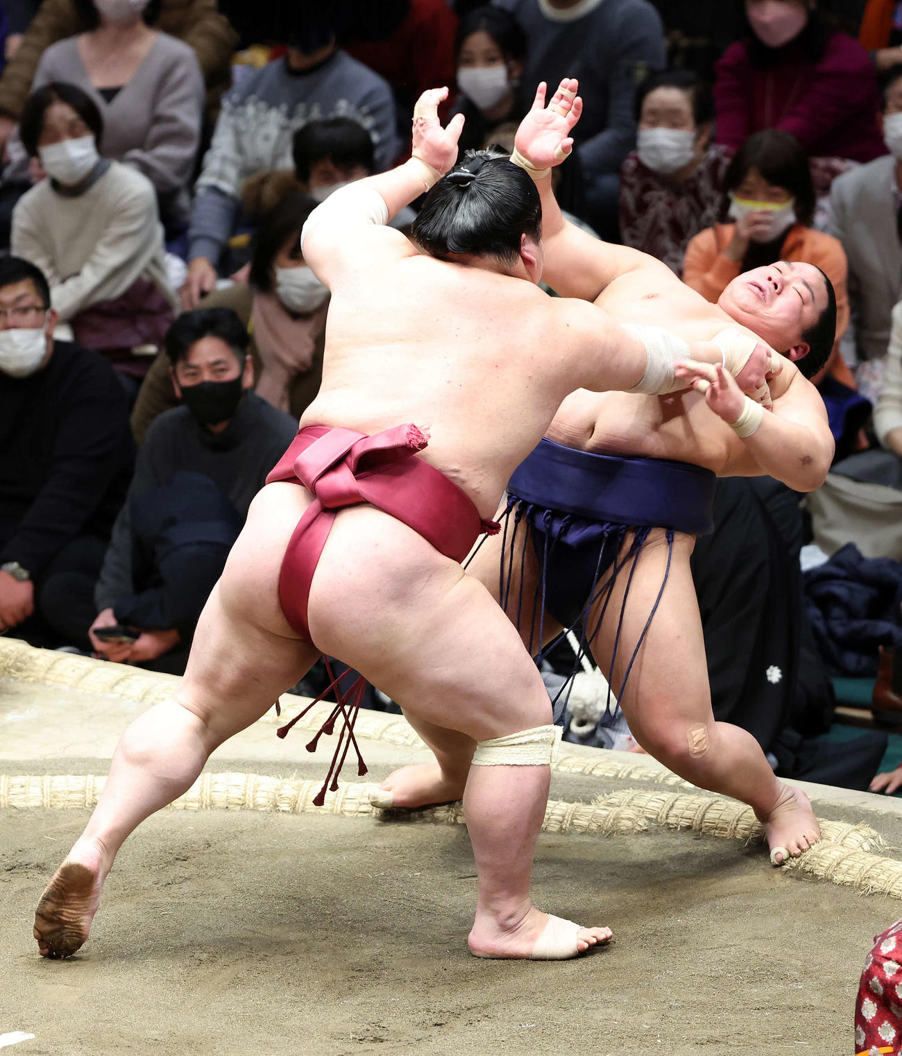 平戸海（右）を突き出しで破る大栄翔（撮影・鈴木正人）