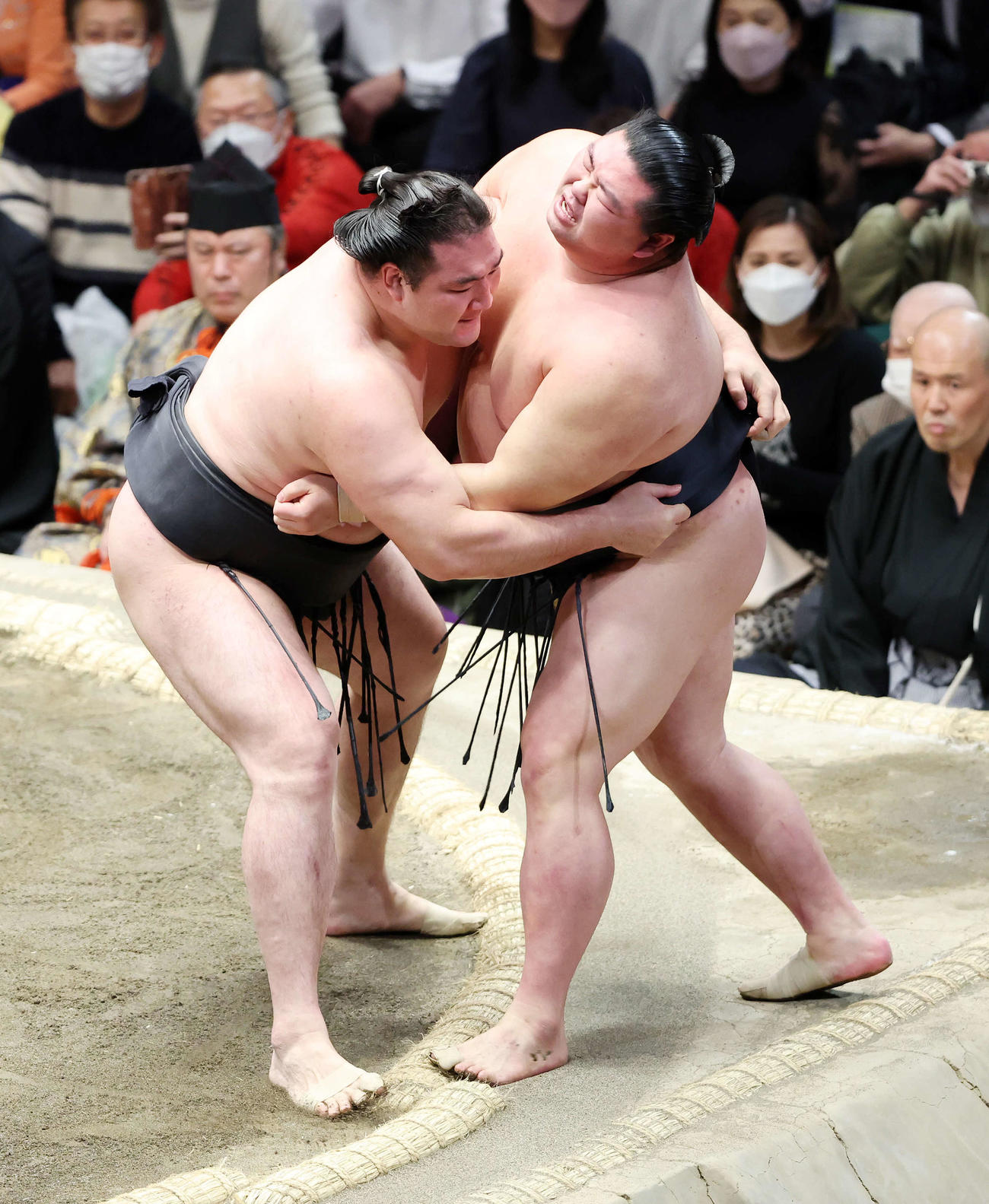 正代（右）を寄り切りで破る竜電（撮影・鈴木正人）